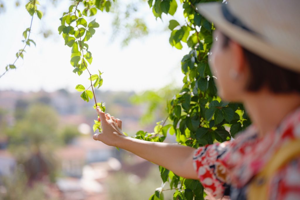 Tailor-Made Portugal Tours