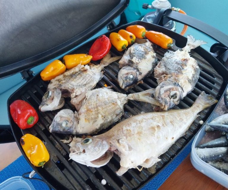 Lisbon Fishing trips