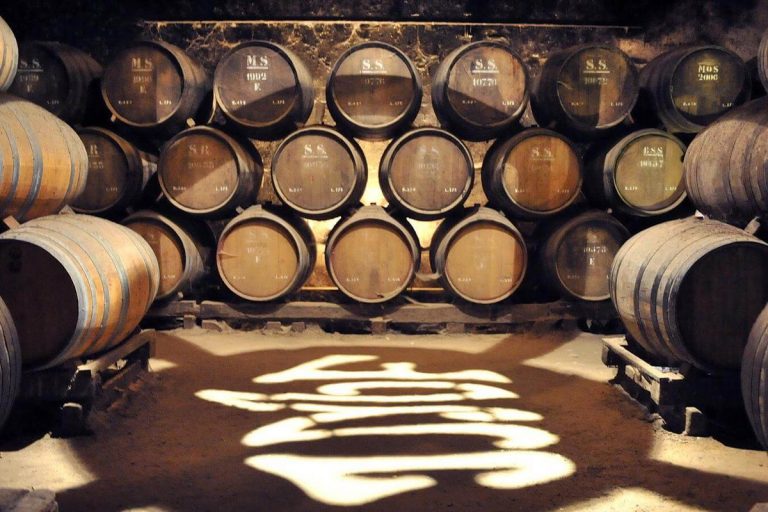 Arrabida 4x4 Off-Road Tour with Wine Tasting