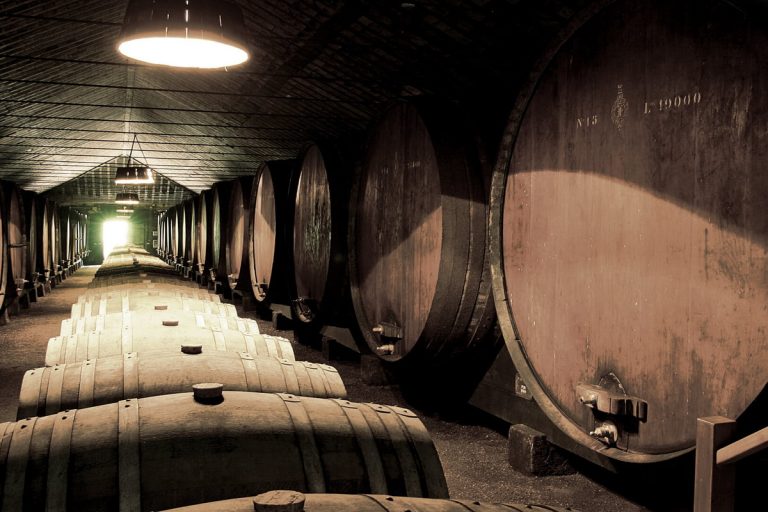 Arrabida 4x4 Off-Road Tour with Wine Tasting