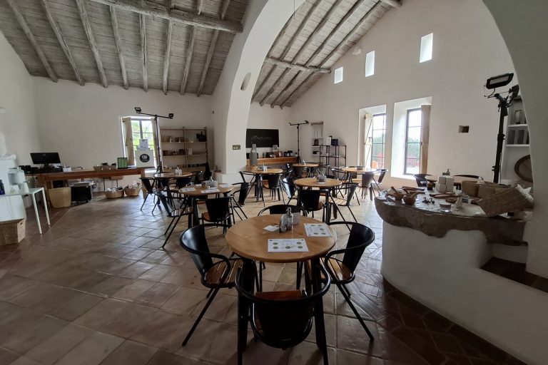Algarve Olive Farm Tour with Tasting (1)