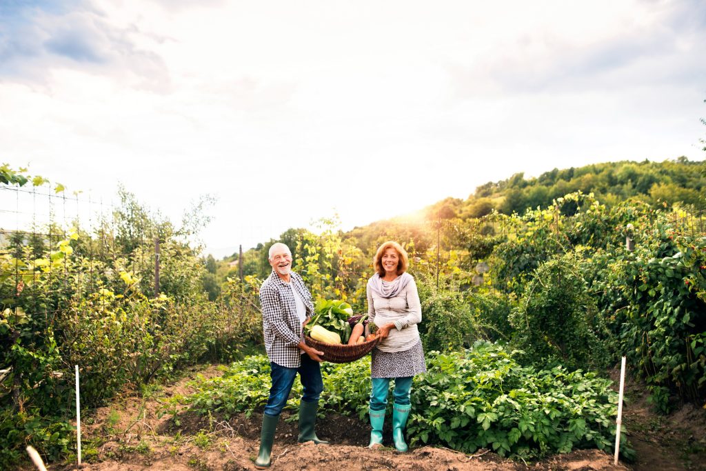 Algarve farm stay with organic garden