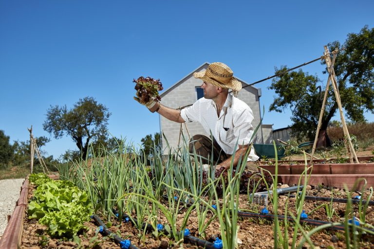 Algarve farm stay with organic garden
