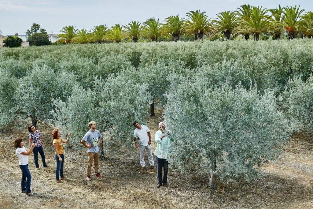 Full Day Algarve Cultural Journey