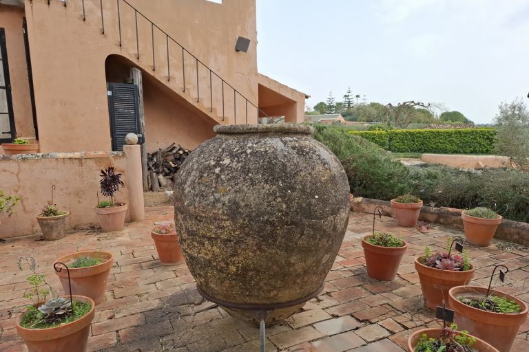 Algarve Olive Farm Tour with Tasting