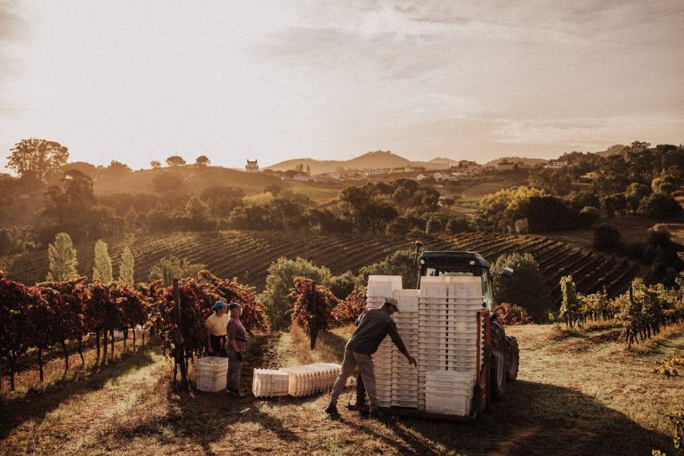 Quinta Retreat near Lisbon1 (2)