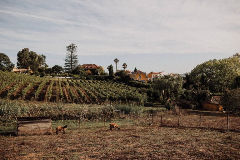 Quinta Retreat near Lisbon1 (3)