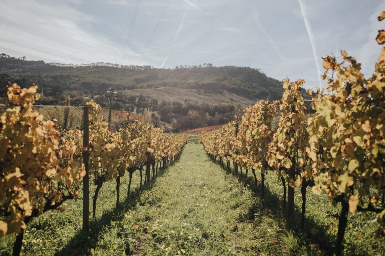 Quinta Retreat near Lisbon1 (7)