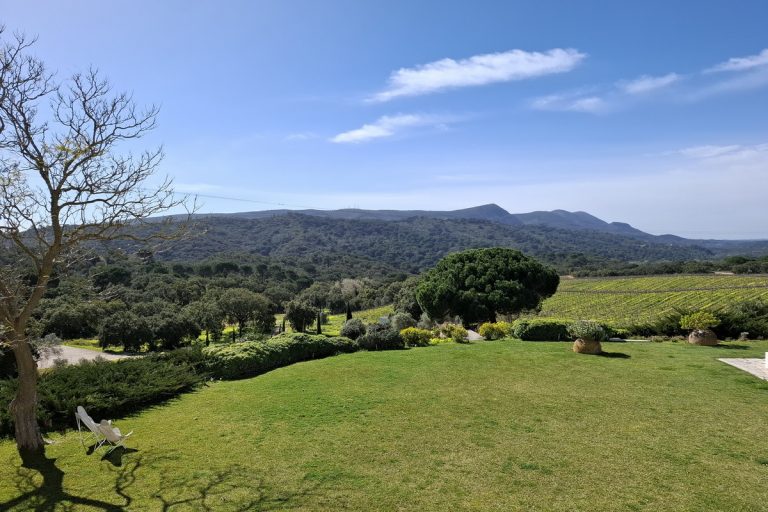 Retreat in wine hotel near Lisbon