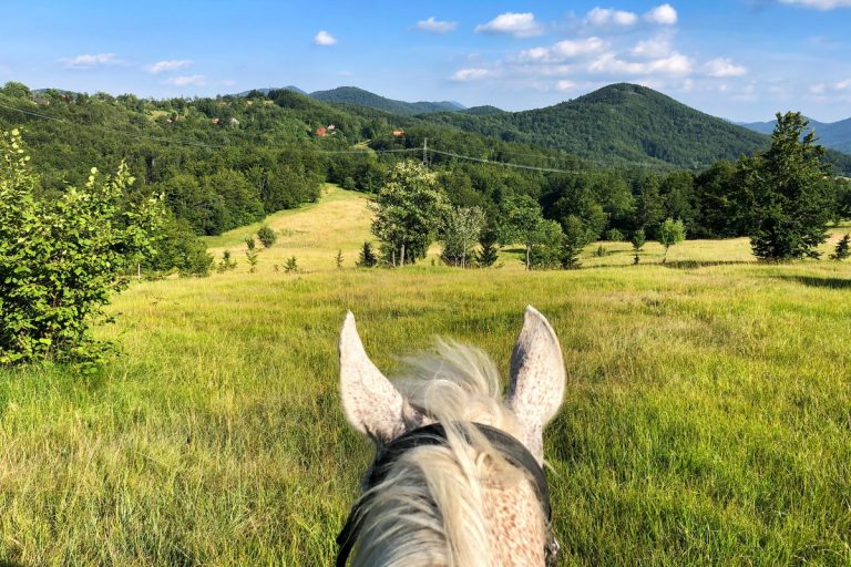 Arrabida horse riding and picnic