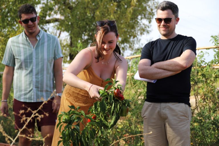 Cooking Class and Dinner at the farm in Algarve (1)