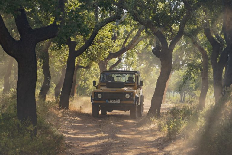 Half Day Private Jeep Safari Algarve
