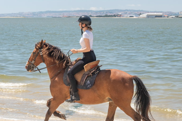 Horseback Riding on the beach and Picnic near Lisbon_small3