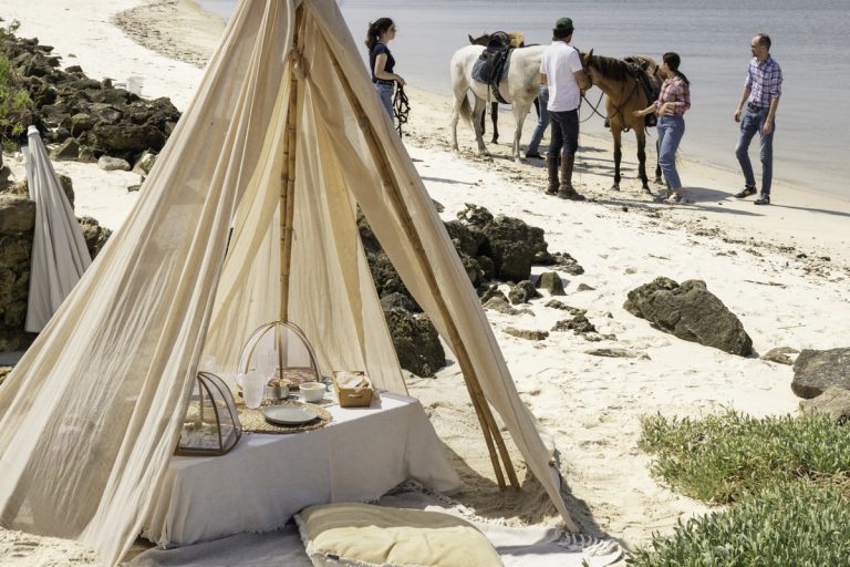Horseback Riding on the beach and Picnic near Lisbon