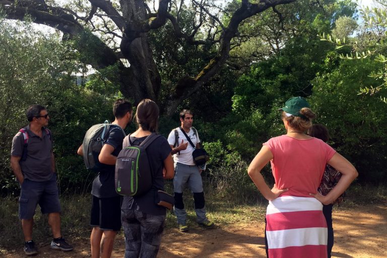 Half-Day Hiking Tour in Arrabida