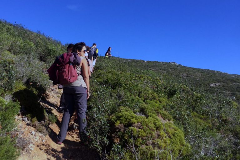 Half-Day Hiking Tour in Arrabida_1 (4)