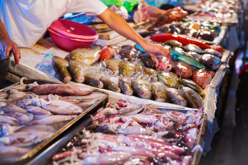Algarve Gastronomy Guide